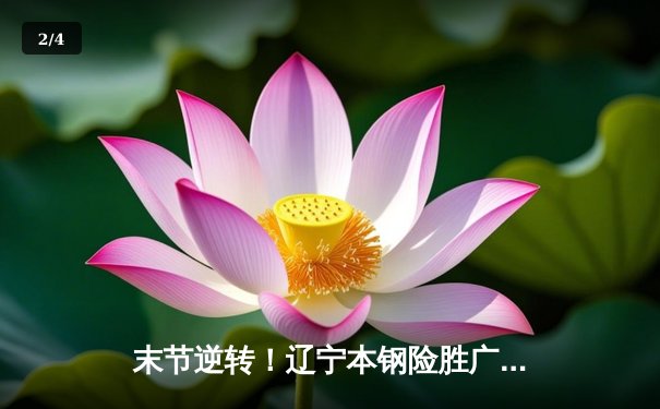 末节逆转！辽宁本钢险胜广东东莞大益，总决赛悬念再起 - 2